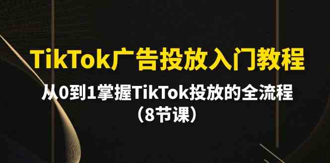 （10085期）TikTok广告投放入门教程，从0到1掌握TikTok投放的全流程（8节课） - 闪创联盟-闪创联盟