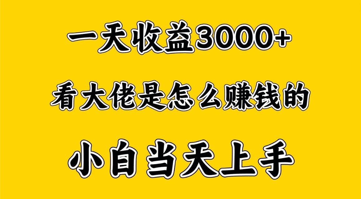 一天赚3000多，大佬是这样赚到钱的，小白当天上手，穷人翻身项目 - 闪创联盟-闪创联盟