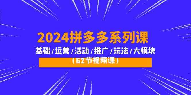 （10019期）2024拼多多系列课：基础/运营/活动/推广/玩法/大模块（62节视频课） - 闪创联盟-闪创联盟