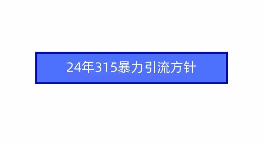 （9398期）2024年315暴力引流方针 - 闪创联盟-闪创联盟