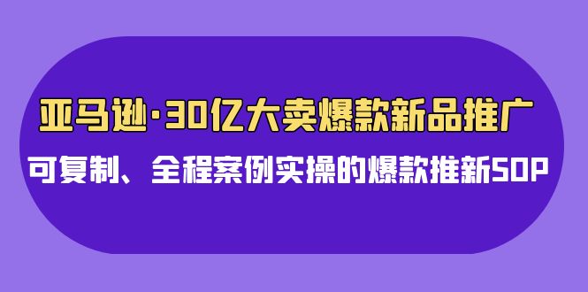 亚马逊30亿大卖爆款新品推广，可复制、全程案例实操的爆款推新SOP - 闪创联盟-闪创联盟