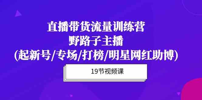 （10016期）直播带货流量特训营，野路子主播(起新号/专场/打榜/明星网红助博)19节课 - 闪创联盟-闪创联盟