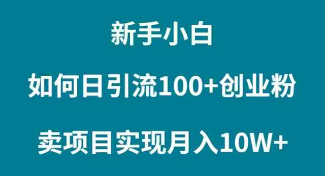 （9556期）新手小白如何通过卖项目实现月入10W+ - 闪创联盟-闪创联盟