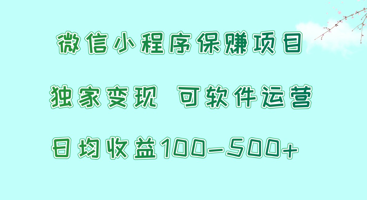 微信小程序保赚项目，日均收益100~500+，独家变现，可软件运营 - 闪创联盟-闪创联盟