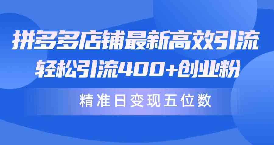 （10041期）拼多多店铺最新高效引流术，轻松引流400+创业粉，精准日变现五位数！ - 闪创联盟-闪创联盟