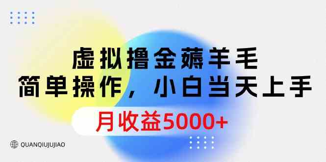 （9864期）虚拟撸金薅羊毛，简单操作，小白当天上手，月收益5000+ - 闪创联盟-闪创联盟