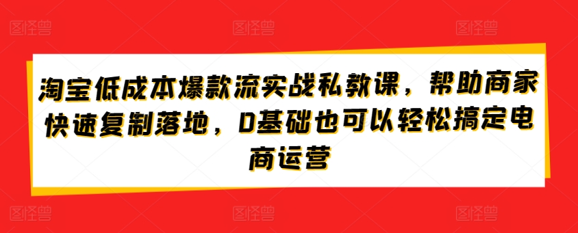 淘宝低成本爆款流实战私教课，帮助商家快速复制落地，0基础也可以轻松搞定电商运营 - 闪创联盟-闪创联盟