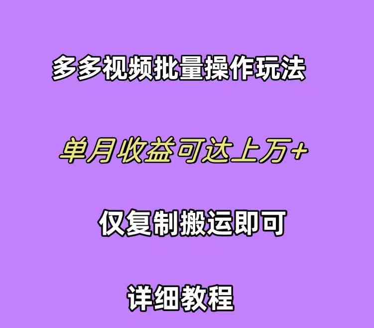 （10029期）拼多多视频带货快速过爆款选品教程 每天轻轻松松赚取三位数佣金 小白必… - 闪创联盟-闪创联盟