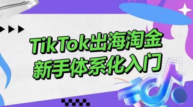 TikTok出海淘金，新手体系化入门，零基础快速入门，掌握短视频、直播带货等引流到变现的知识 - 闪创联盟-闪创联盟