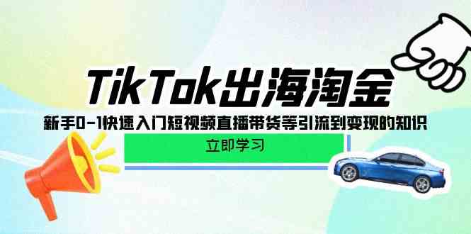 （10035期）TikTok-出海淘金，新手0-1快速入门短视频直播带货等引流到变现的知识 - 闪创联盟-闪创联盟