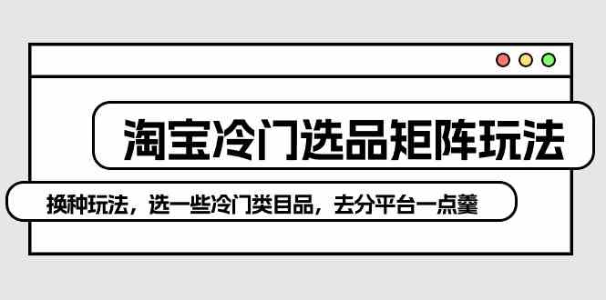 （10159期）淘宝冷门选品矩阵玩法：换种玩法，选一些冷门类目品，去分平台一点羹 - 闪创联盟-闪创联盟