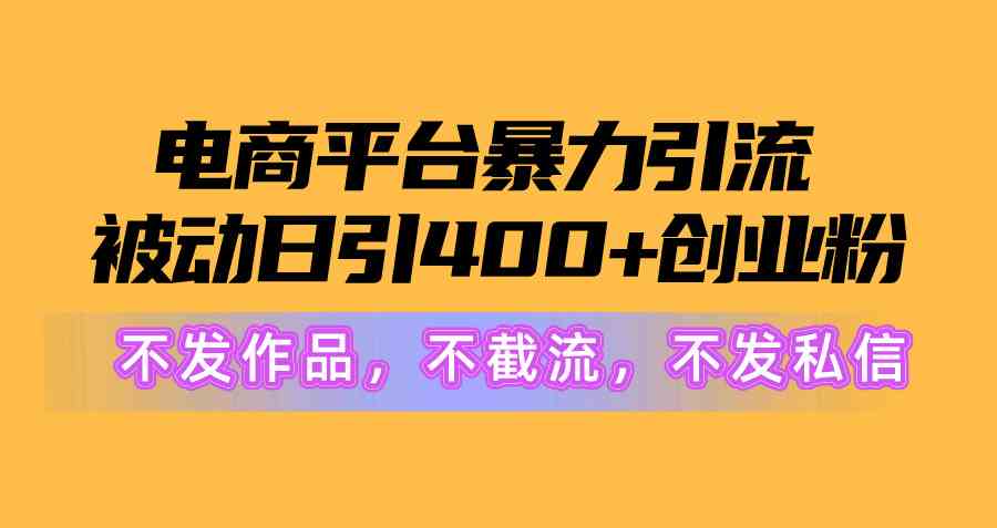 （10168期）电商平台暴力引流,被动日引400+创业粉不发作品，不截流，不发私信 - 闪创联盟-闪创联盟