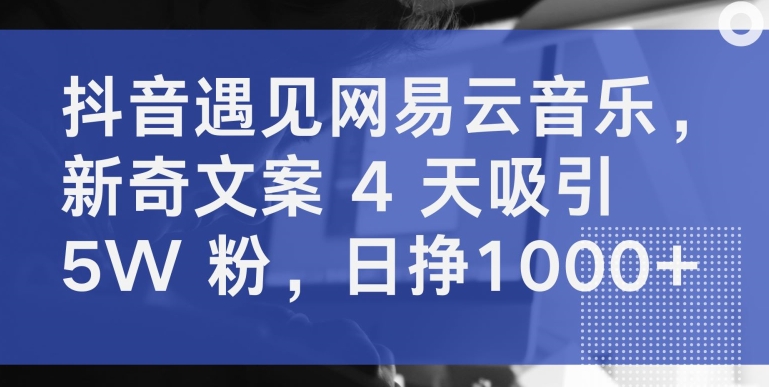 抖音遇见网易云音乐，新奇文案 4 天吸引 5W 粉，日挣1000+ - 闪创联盟-闪创联盟