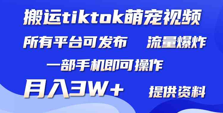 （9618期）搬运Tiktok萌宠类视频，一部手机即可。所有短视频平台均可操作，月入3W+ - 闪创联盟-闪创联盟