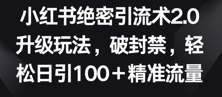 小红书绝密引流术2.0升级玩法，破封禁，轻松日引100+精准流量 - 闪创联盟-闪创联盟