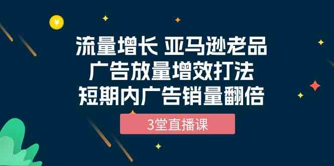 （10112期）流量增长 亚马逊老品广告放量增效打法，短期内广告销量翻倍（3堂直播课） - 闪创联盟-闪创联盟