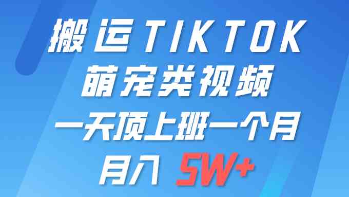 （9931期）一键搬运TIKTOK萌宠类视频 一部手机即可操作 所有平台均可发布 轻松月入5W+ - 闪创联盟-闪创联盟