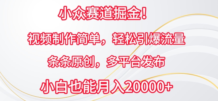 小众赛道掘金，视频制作简单，轻松引爆流量，条条原创，多平台发布 - 闪创联盟-闪创联盟